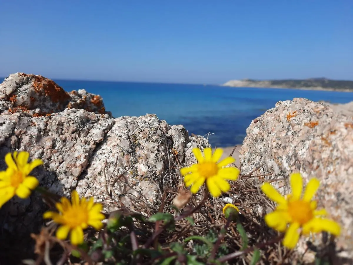 Apartment Appartamenti Santa Teresa Gallura
